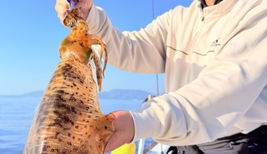 厳しい1日でした(泣)