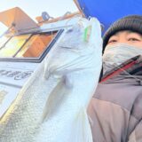 シーバスジギング