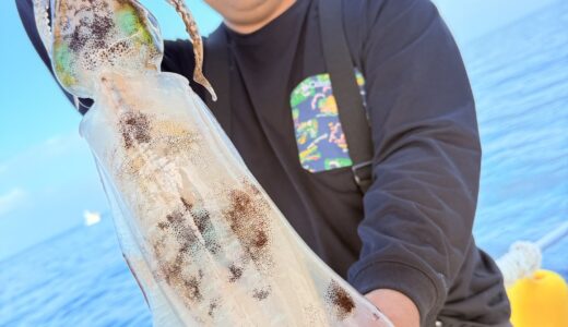 遠征ティップラン❗️