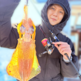 今日も大型春イカ出ました🦑‼️