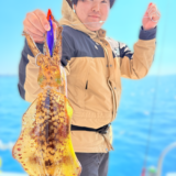 ティップラン＆タコの朗報🐙🐙